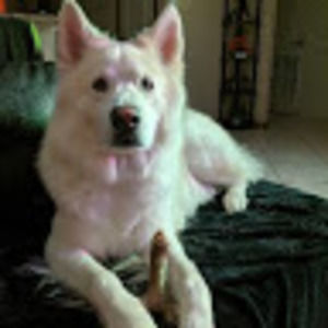 Meet your Posher, Life with a